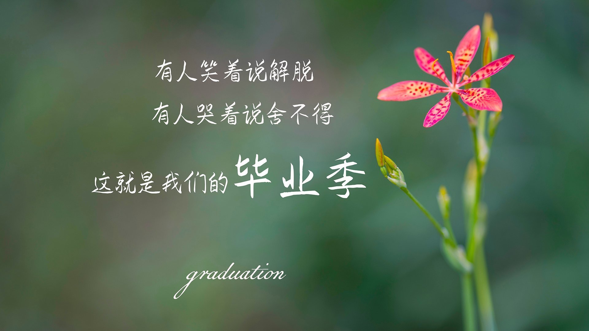 _魔幻夜光跑步赛：光影交织，燃爆夜晚_，夜光跑道