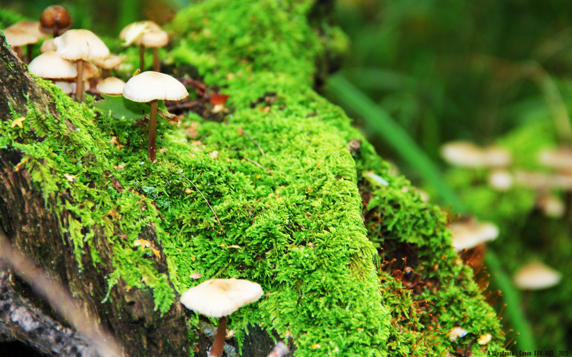 全国自行车绕城赛，骑行体验城市的脉搏，自行车环绕中国一圈多少公里