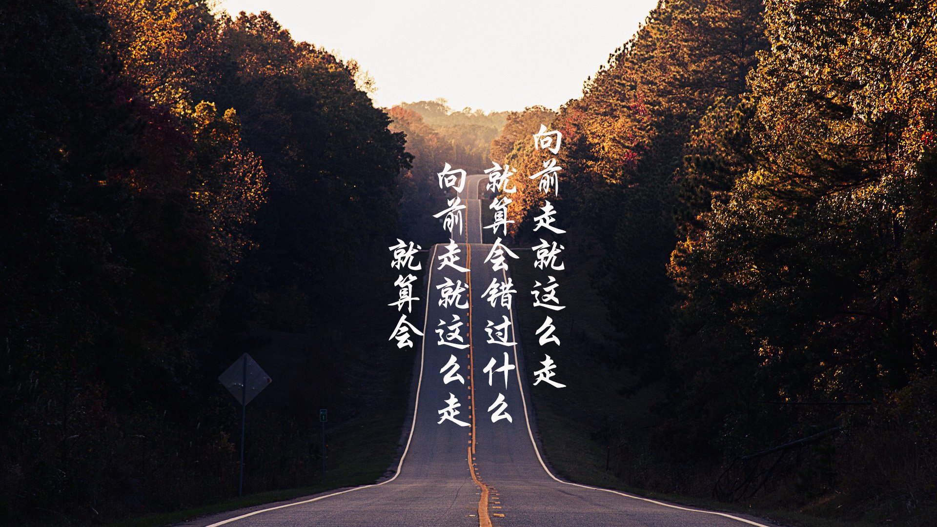 备战背后的秘密:教练组的秘密技术档案,教练组成员