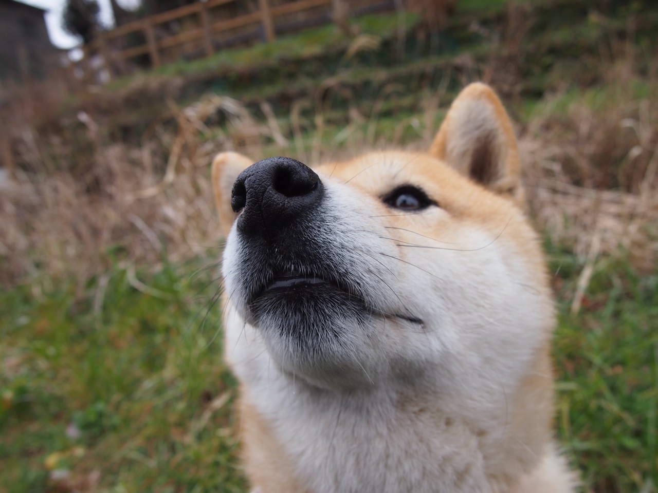爱游戏娱乐平台-特殊水下蹦床大赛，水中跳跃的精彩瞬间，水上蹦床视频
