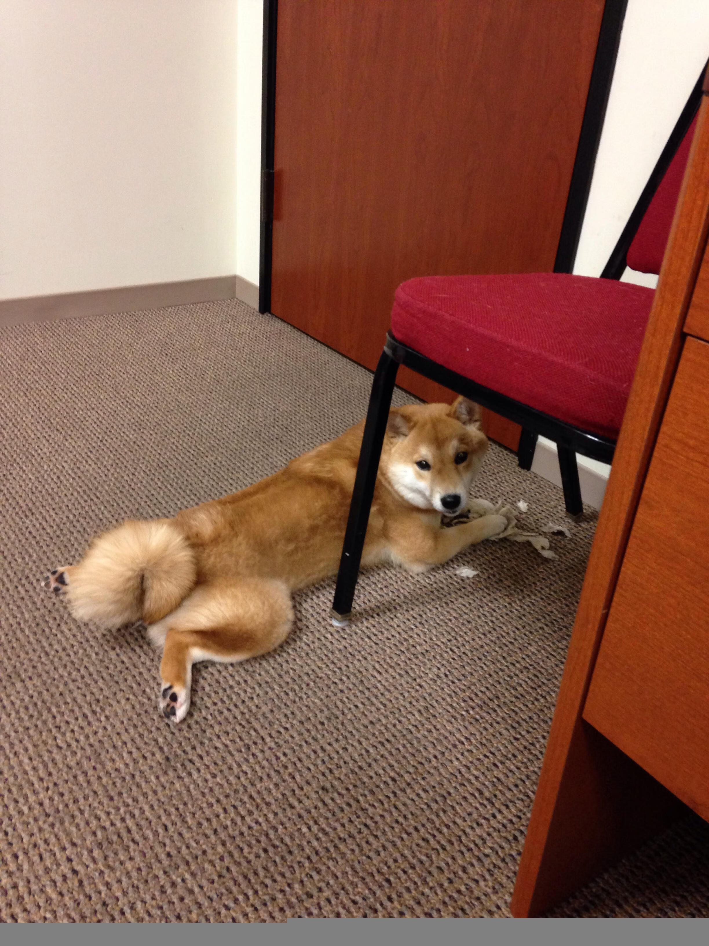 爱游戏官方网站-逆转“奇迹夜”：那些令人瞠目结舌的比赛瞬间，nba逆转奇迹