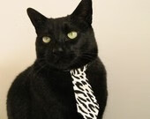 阿根廷马术代表队在巴黎奥运会团体障碍赛中获得铜牌，展现团队协作精神。