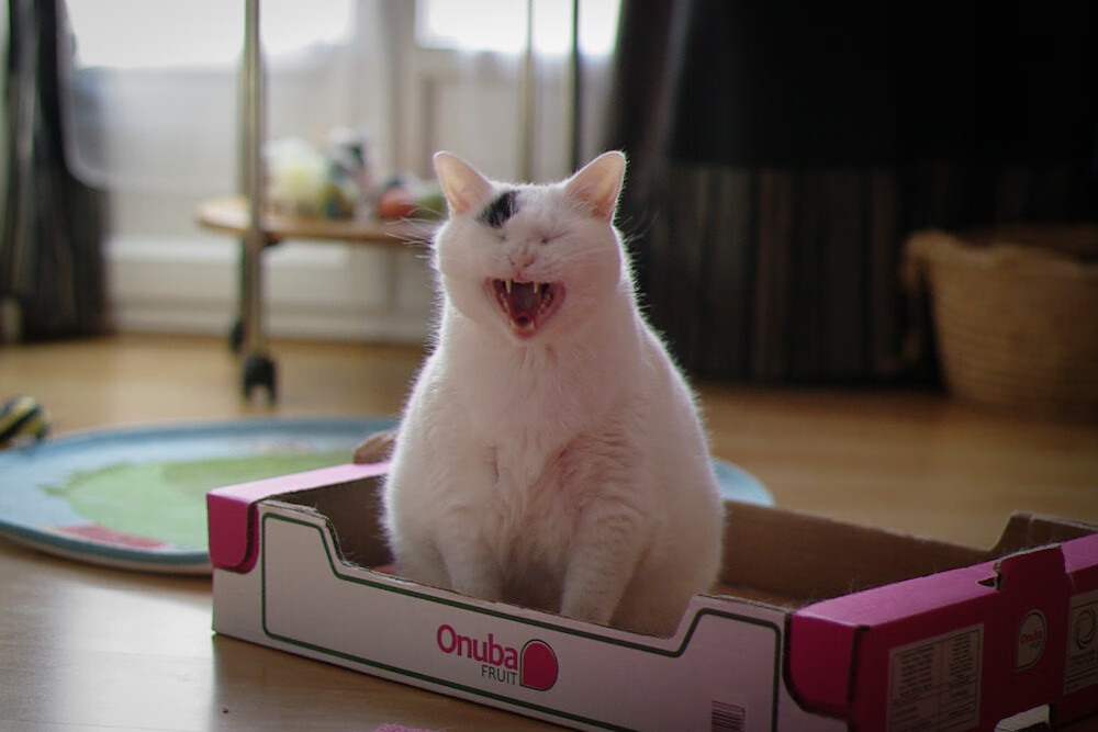 爱游戏下载-2021赛季欧洲篮球冠军联赛