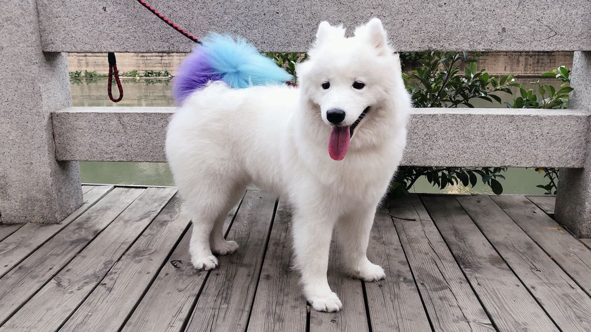 大连一方对阵石家庄永昌，强对强的较量备受瞩目！，大连石家庄疫情