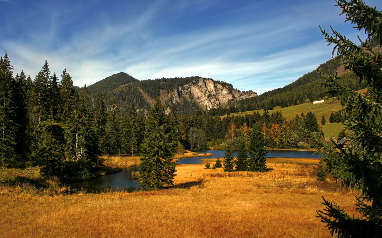 澳大利亚后卫全场最佳，哈萨克斯坦队挫败,实力悬殊的一场交锋将胜负揭晓在最后关头