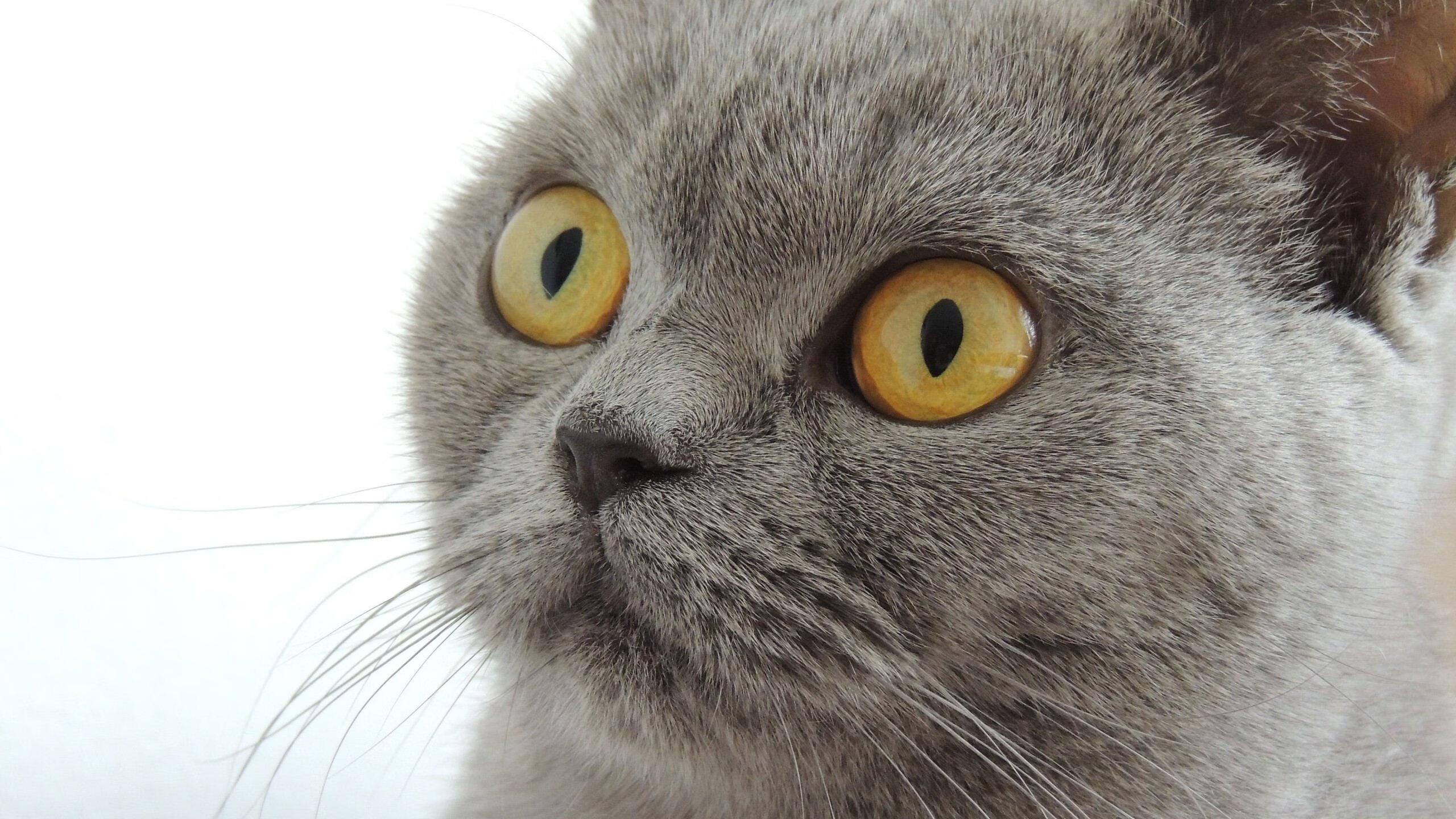 美国战队训练基地曝光，美国队训练赛