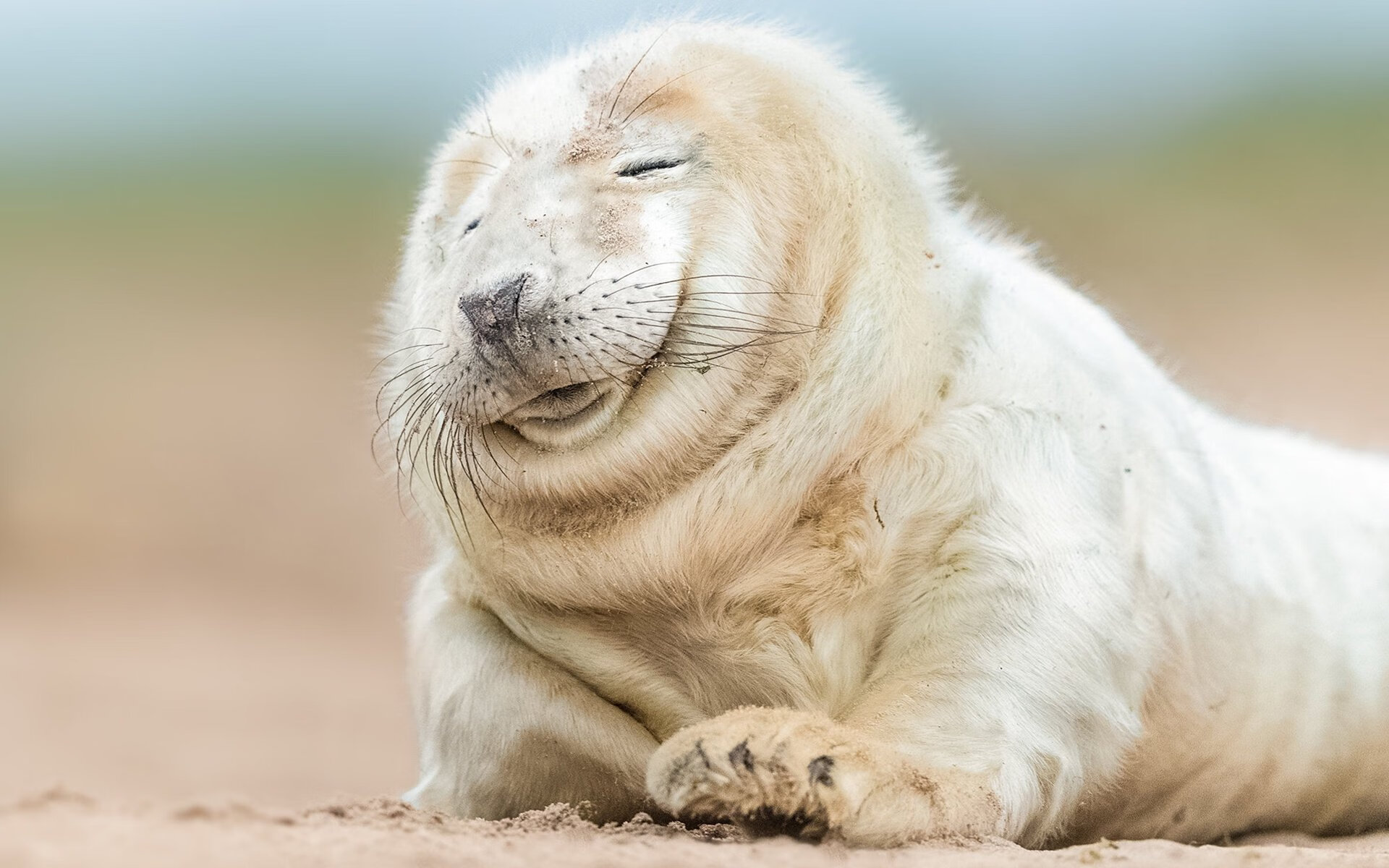 NBA联盟赛季数据智能分析平台开发，nba联盟数据排名