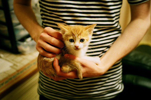 NBA运动员营养补给及恢复策略探讨，nba运动员饮食食谱