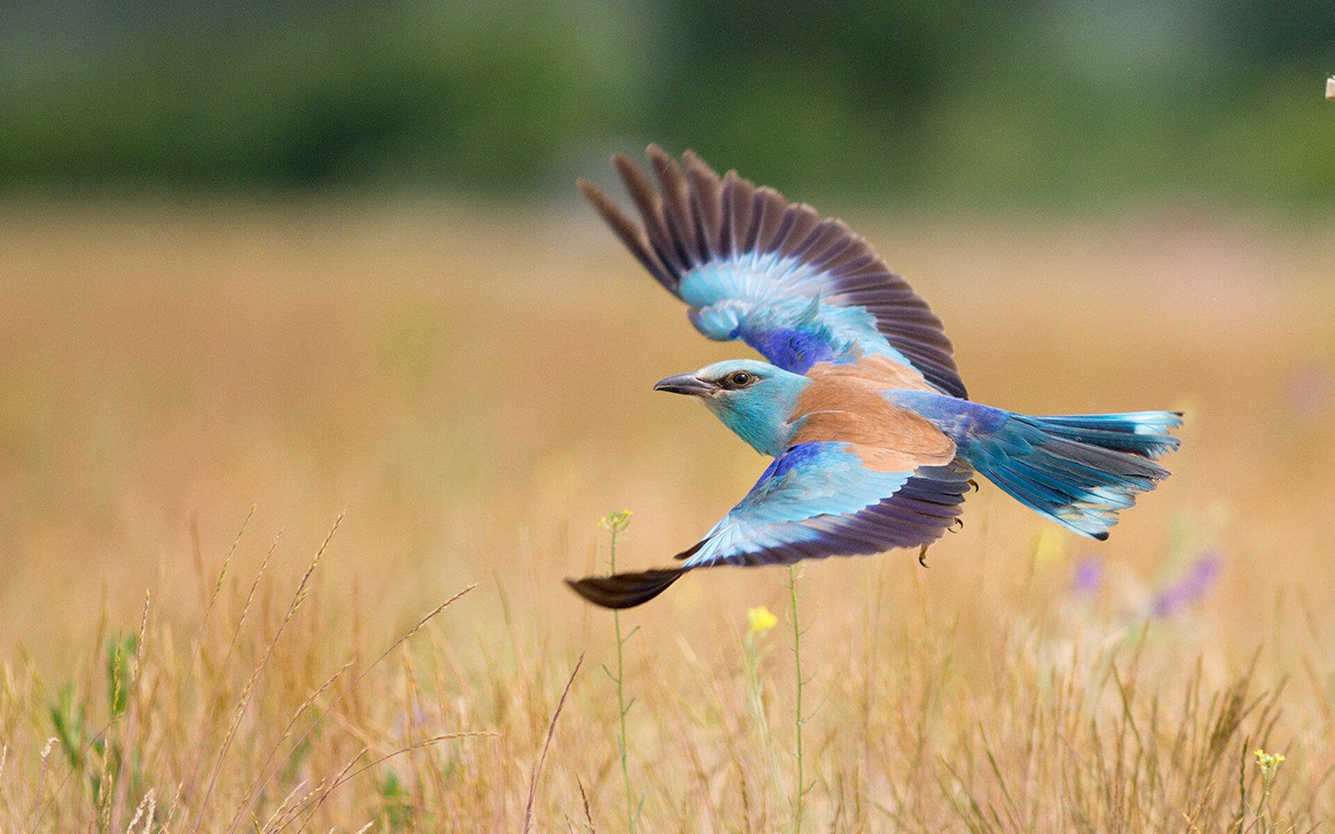 青少年体育赛事规则完善,青少年体育比赛年龄限制