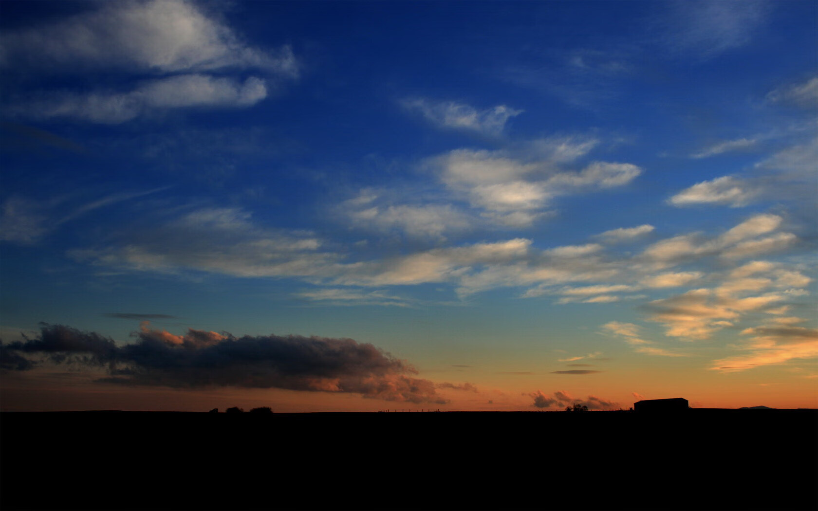 AYX GAMING-女子仰泳项目成为潜在得分点，女子仰泳比赛视频